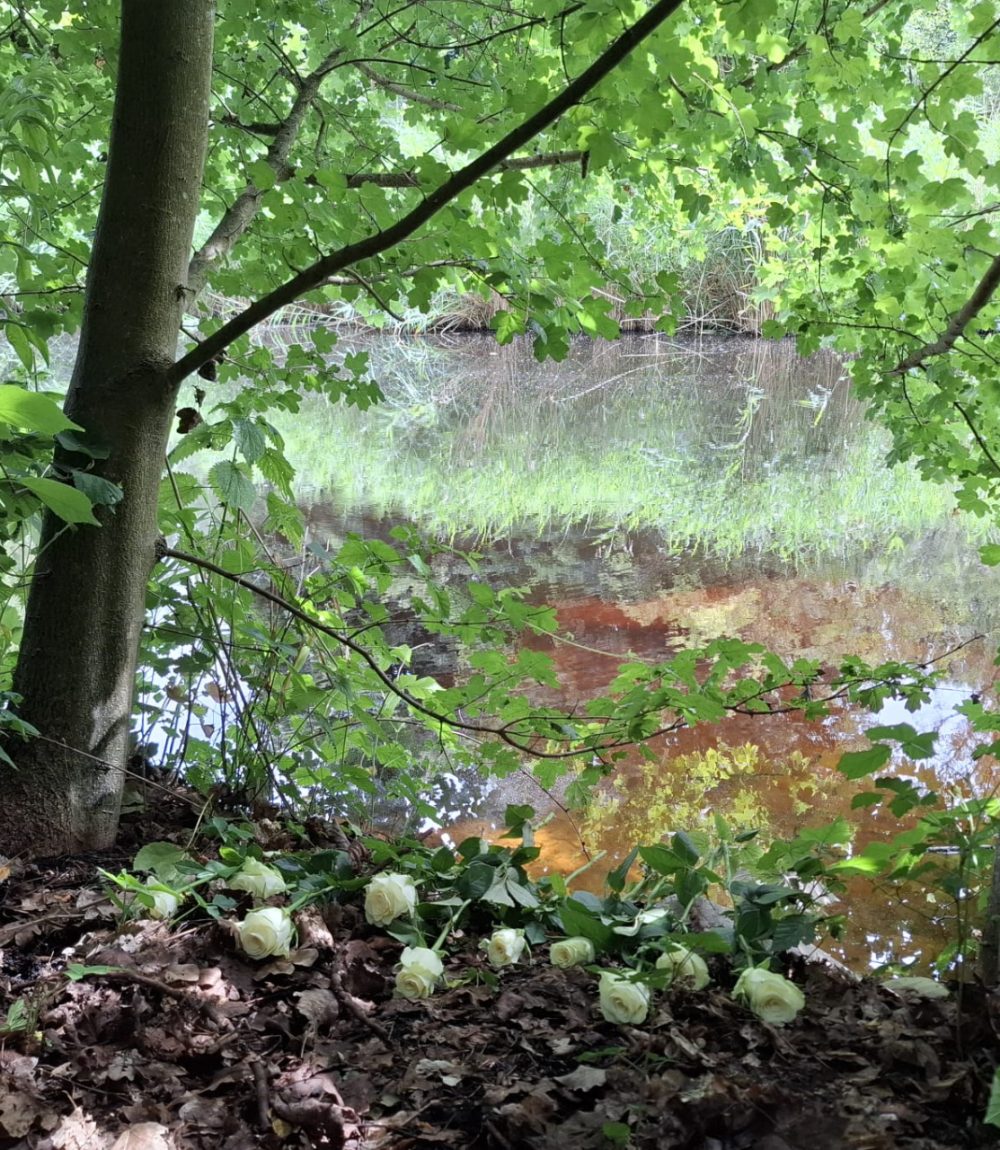 scattering garden jahangir emami holland